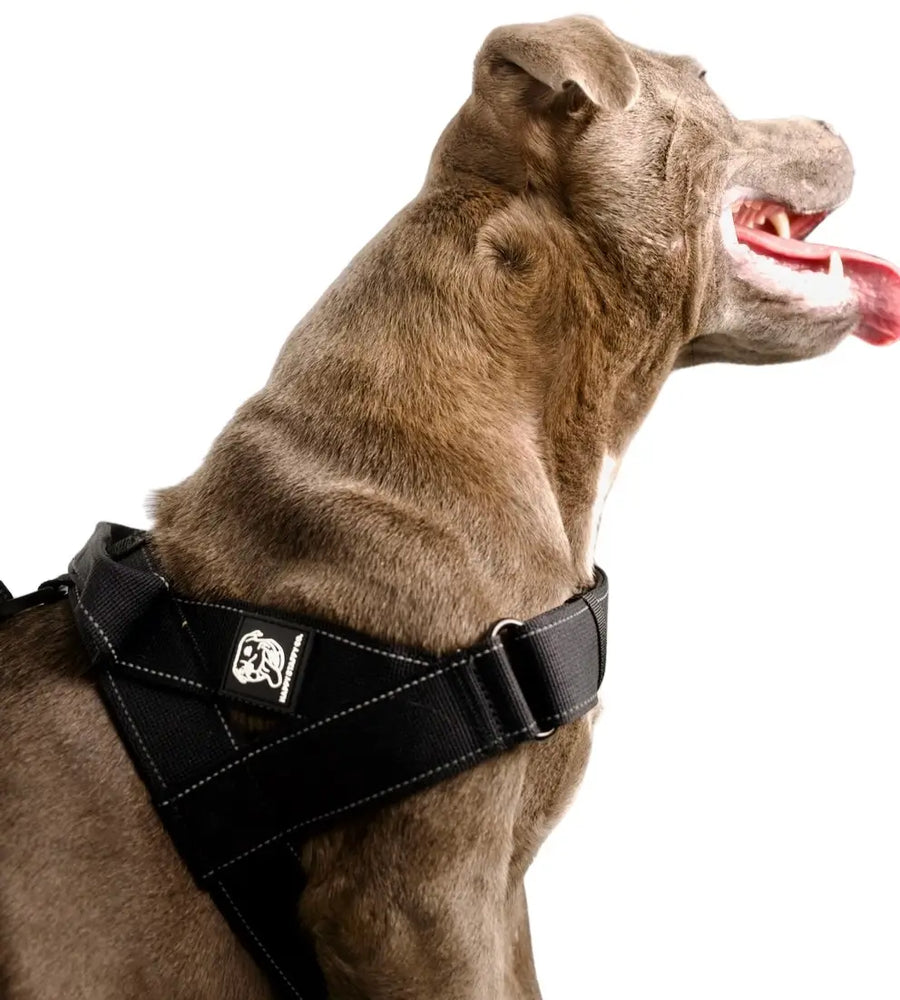 Durable Dog Harness