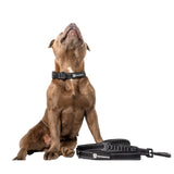 Walkies Starter Pack