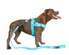 Durable Dog Harness