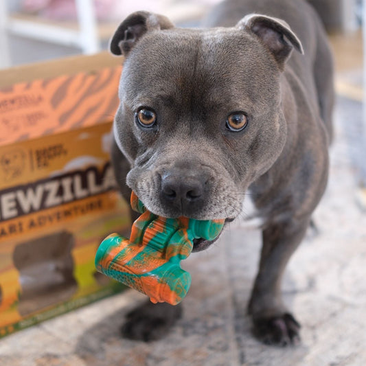 Chewzilla Safari Collection