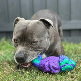 PowerFlex™ Jungle Trek Collection