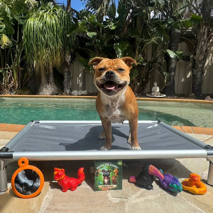 Treat & Toy Bundle (PowerFlex™ Collection) photo 10