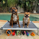 PowerFlex™ Jungle Trek Collection