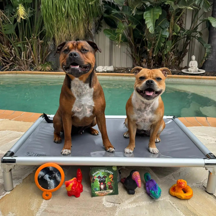 Two on the Jungle Trek, one supervising