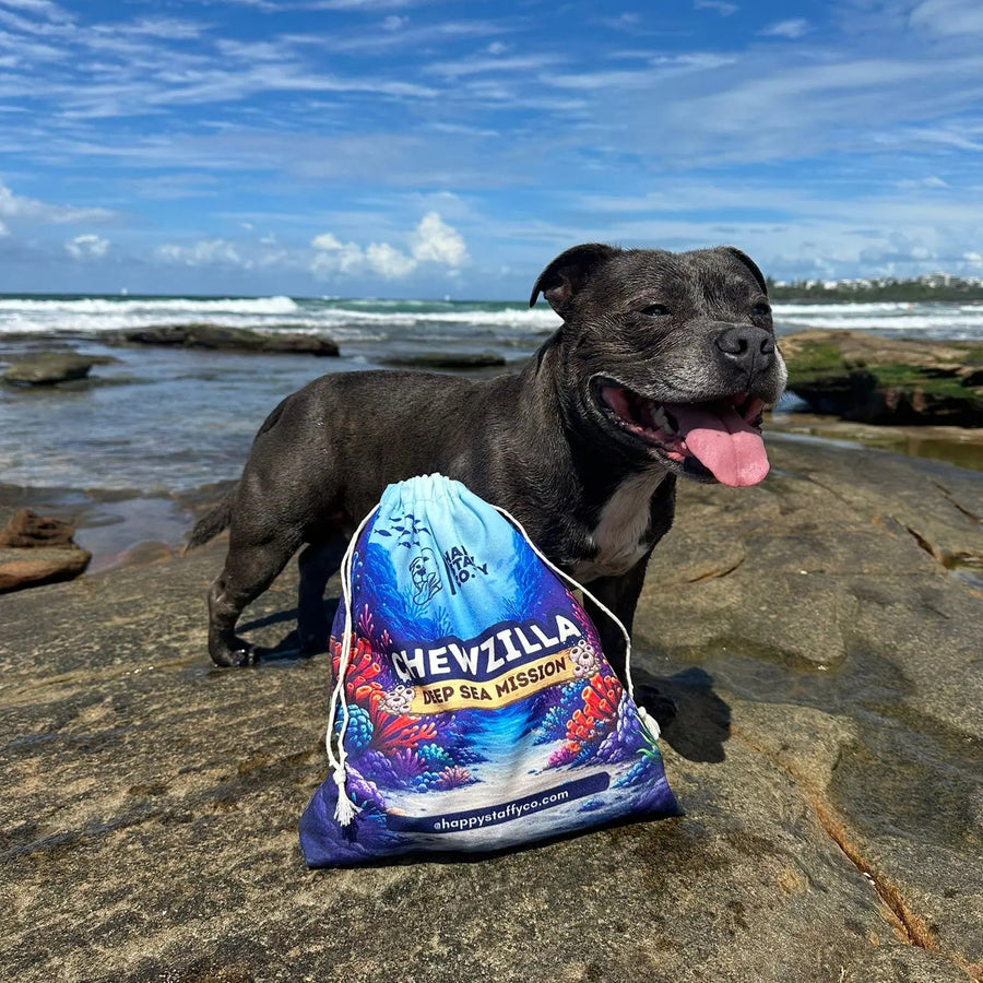 Chewzilla® Deep Sea Mission