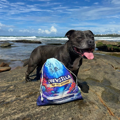 New Chewzilla®