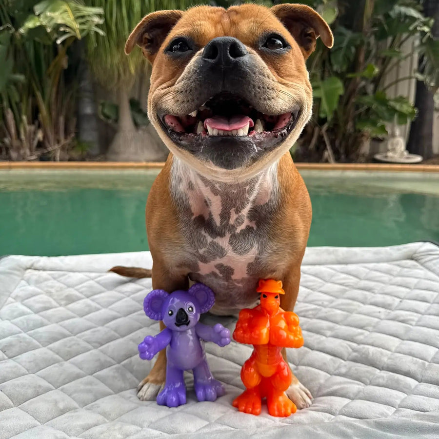 Chewzilla® Aussie Outback Collection