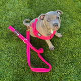 Walkies Starter Pack