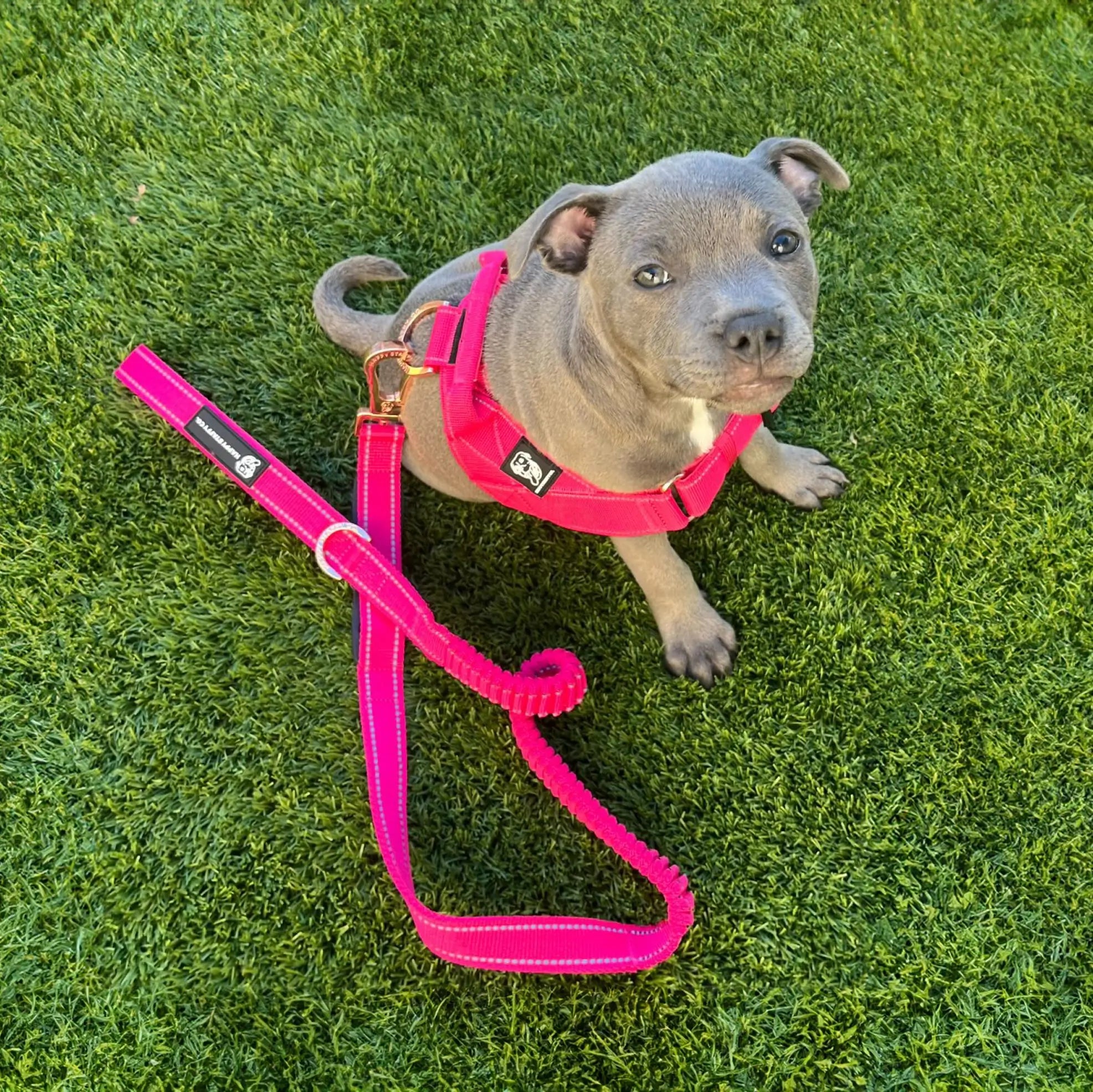 Walkies Starter Pack