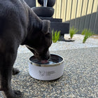 Food & Water Bowl Combo