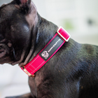 Durable Collar