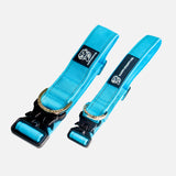 Durable Staffy Collar