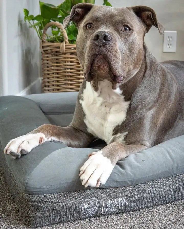Deluxe Orthopedic Memory Foam Bed photo 10
