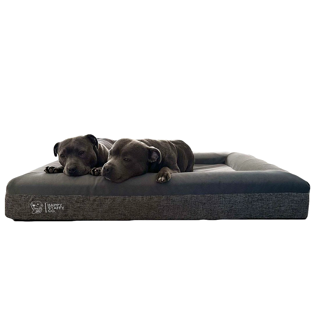 Orthopedic Memory Foam Bed + Pullover Blanket Cover