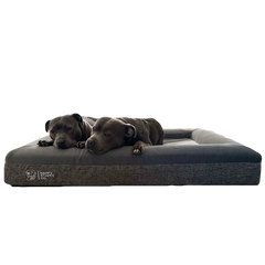 Orthopedic Memory Foam Bed + Pullover Blanket Cover