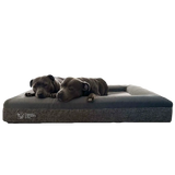 Orthopedic Memory Foam Bed + Pullover Blanket Cover