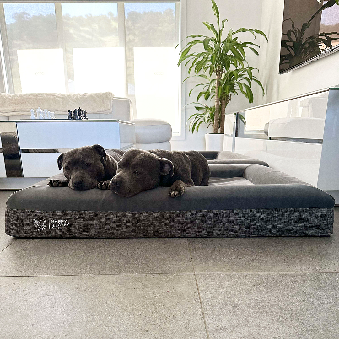 Deluxe Orthopedic Memory Foam Bed