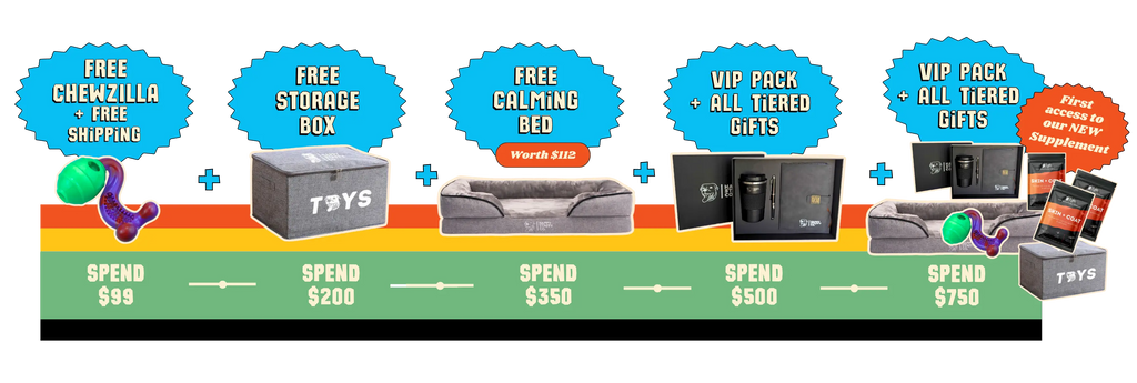 BF Gifts Banner