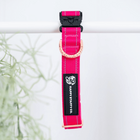 Durable Collar