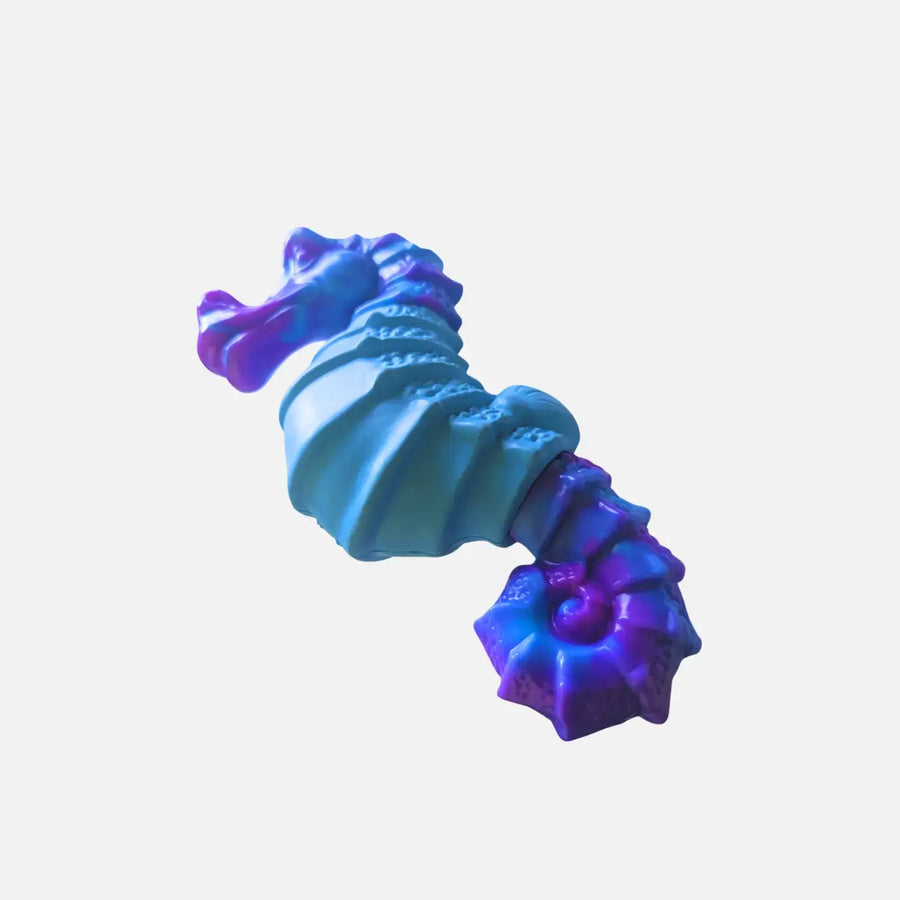 Seahorse Splash