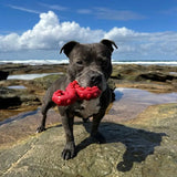 Chewzilla® Deep Sea Mission