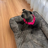 Black Friday Ultimate Toy & Treat Bundle